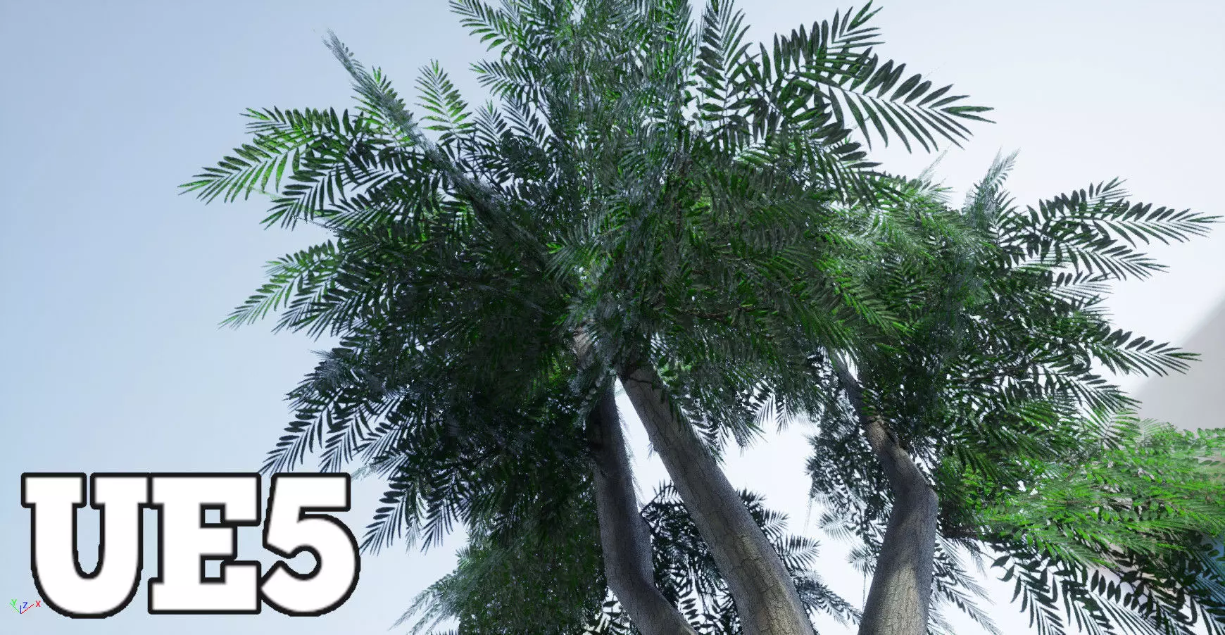 Schinus Molle - False Pepper Tree -  Aroeira Salso PBR Lowpoly Low-poly 3D model_0