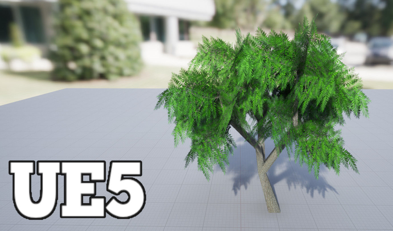 Schinus Molle - False Pepper Tree -  Aroeira Salso PBR Lowpoly Low-poly 3D model_2