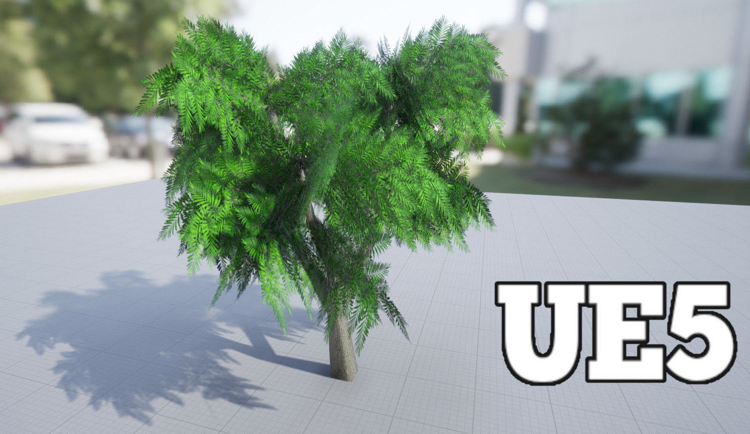 Schinus Molle - False Pepper Tree -  Aroeira Salso PBR Lowpoly Low-poly 3D model_1
