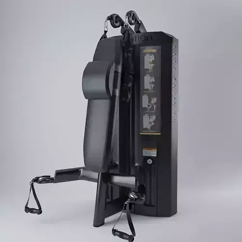 Genesis DS Abdominal Biceps