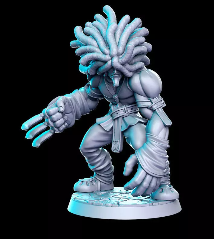 Amarant Coral Final Fantasy 32mm Pre-supported 3D print model_0