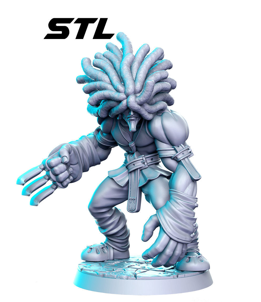 Amarant Coral Final Fantasy 32mm Pre-supported 3D print model_1