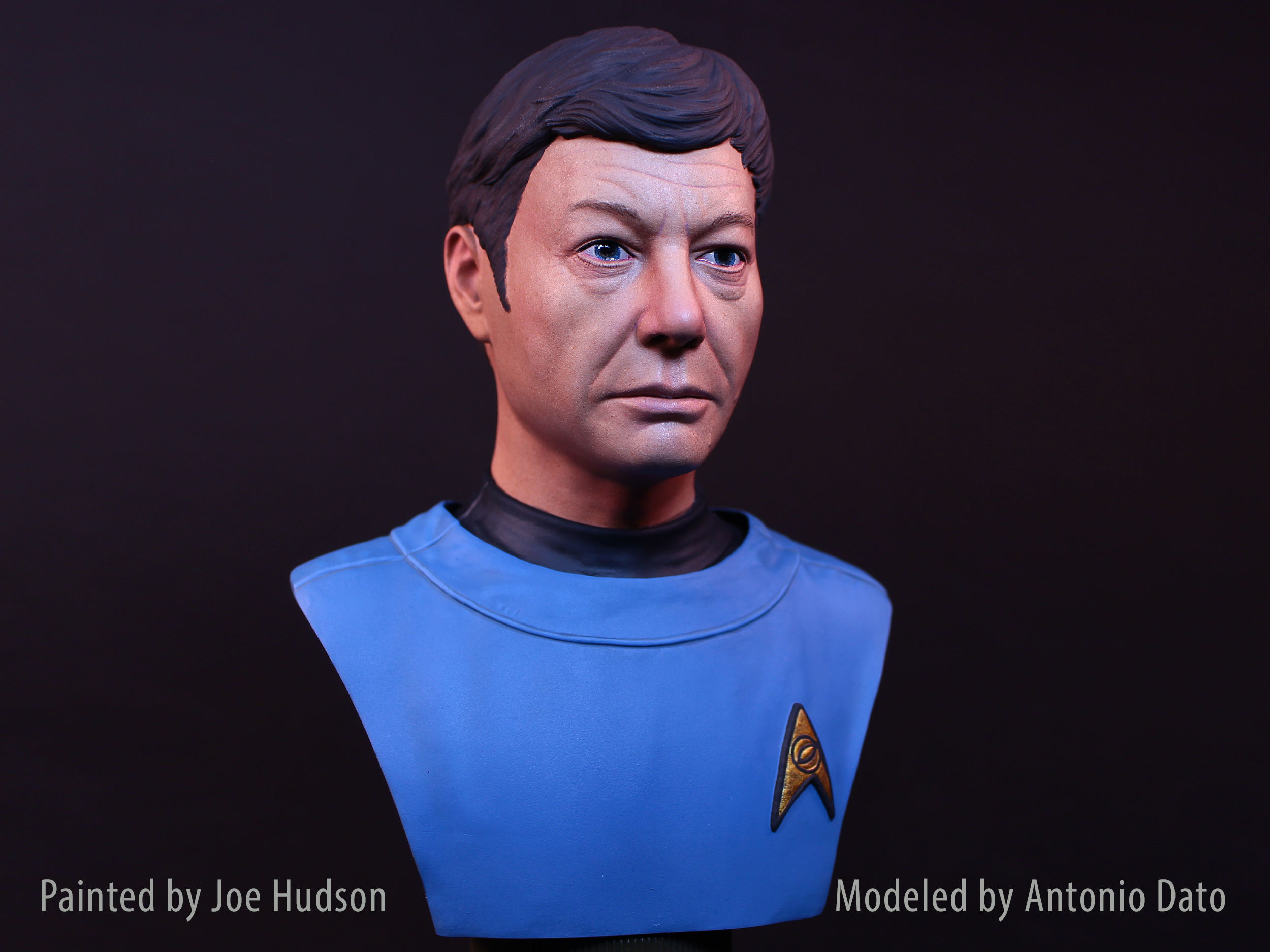 DeForest Kelley as Dr Leonard McCoy Bust Printable 3D Model 3D print model_1