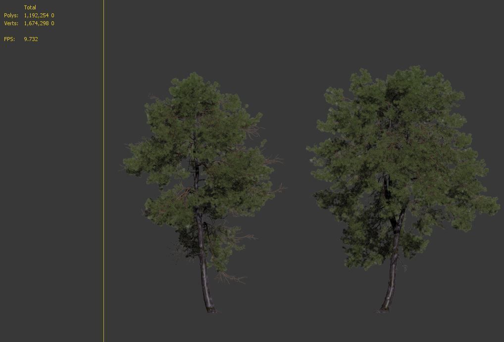 Pinus sylvestris 06 3D model_7