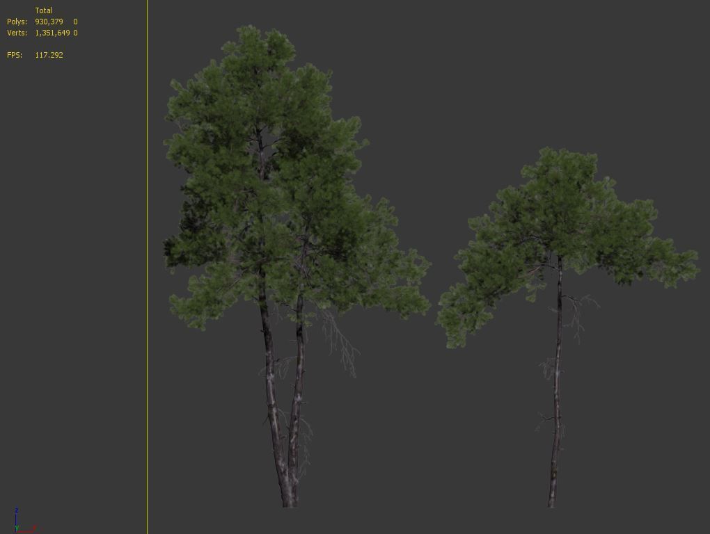 Pinus sylvestris 08 3D model_7