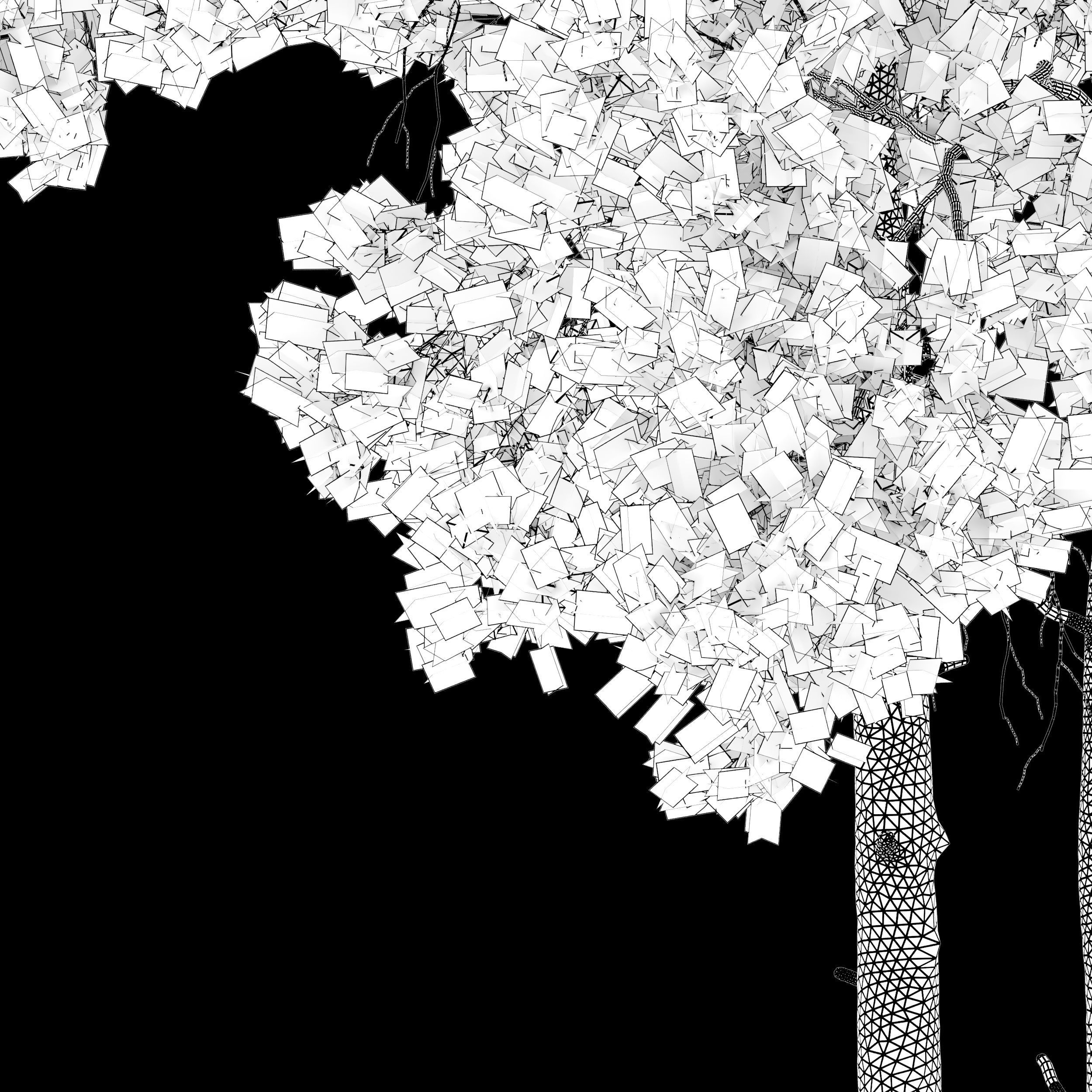 Pinus sylvestris 08 3D model_6