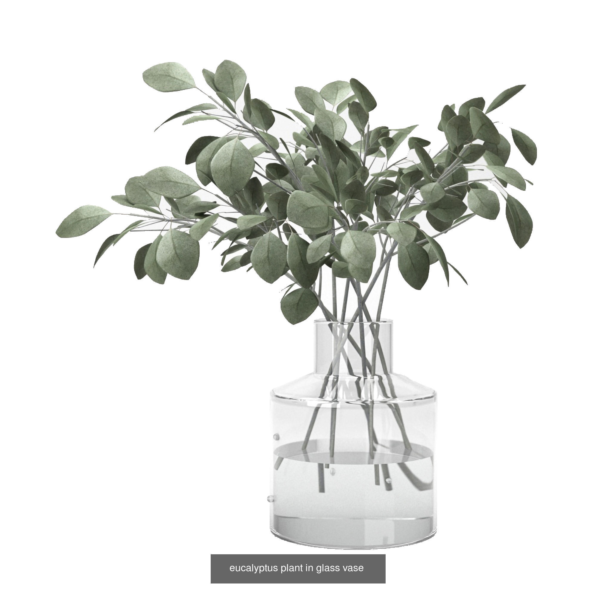 kitchen collection 2 banana plant in pot _17