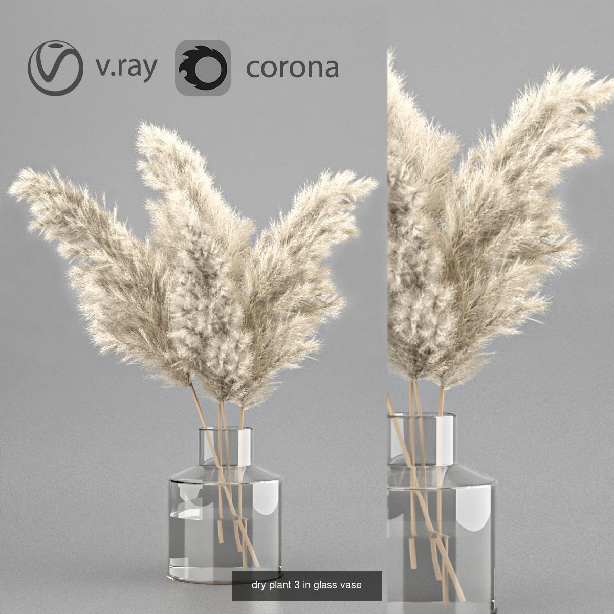 kitchen collection 2 banana plant in pot _19