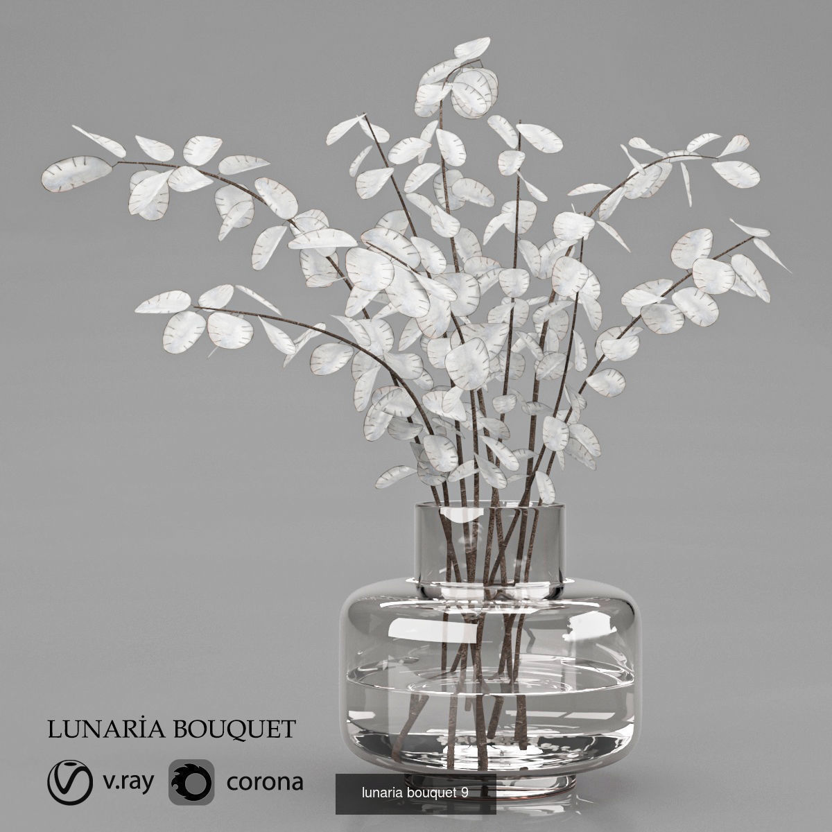 kitchen collection 2 banana plant in pot _26