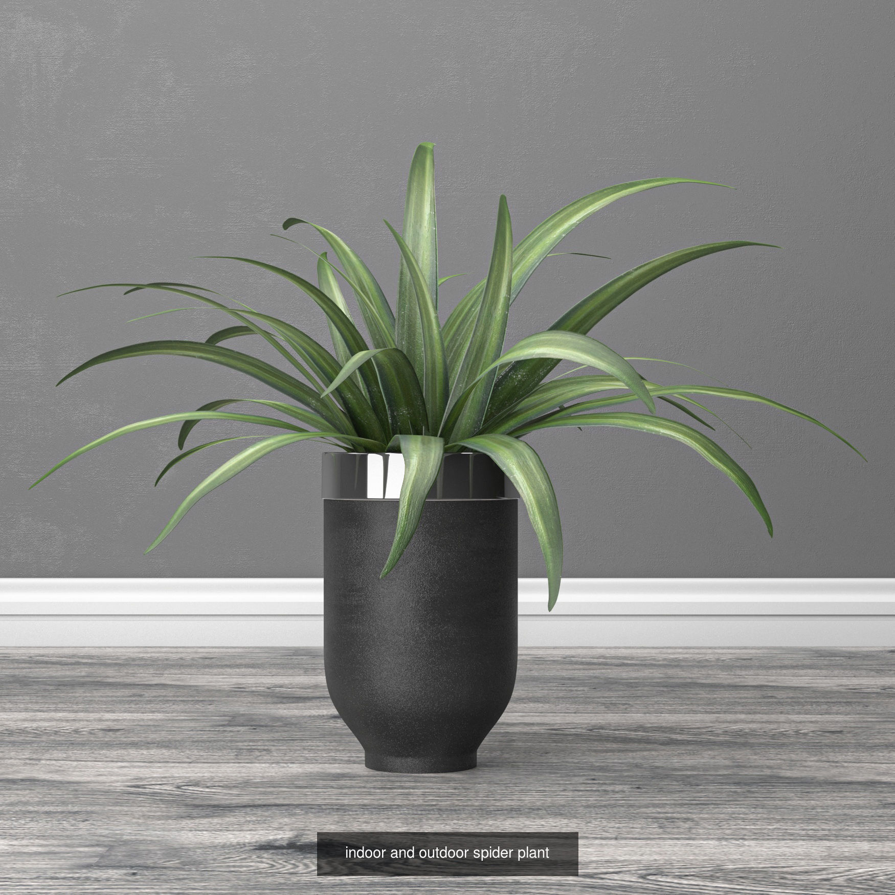 kitchen collection 2 banana plant in pot _13