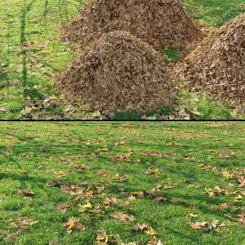 Meadow 12 3D model
