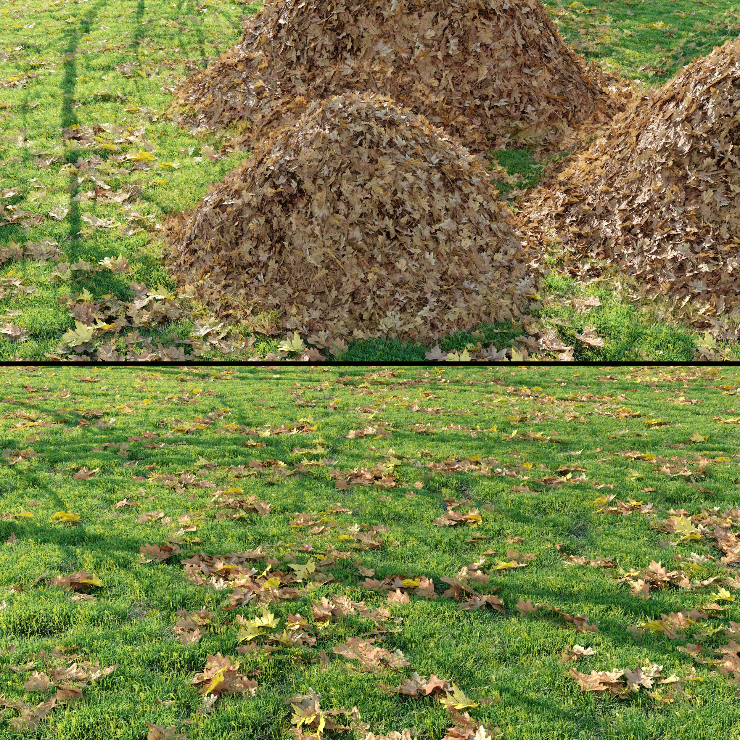 Meadow 12 3D model