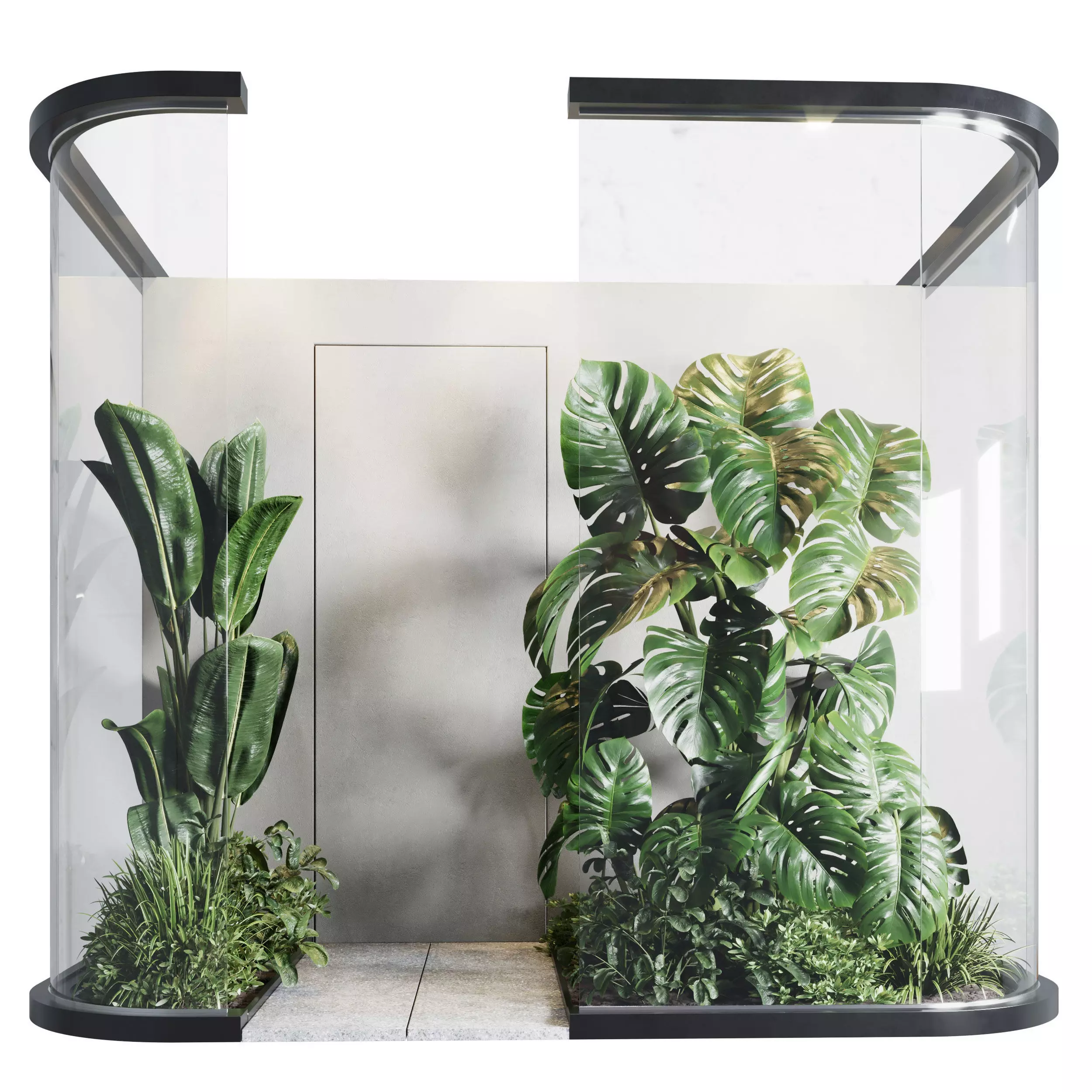 Glass Garden - indoor plant 297 Low-poly 3D model