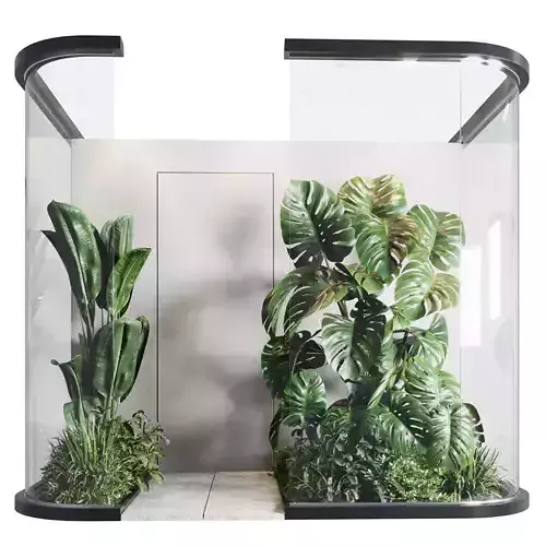 Glass Garden - indoor plant 297