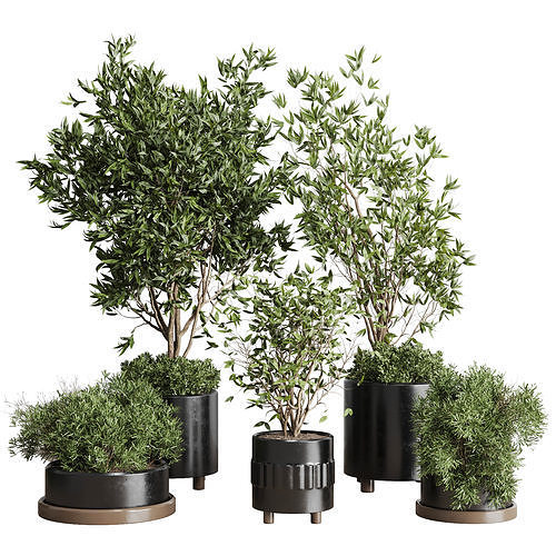 Indoor plant set 298 concrete vase plant tree bush pot Low-poly 3D model