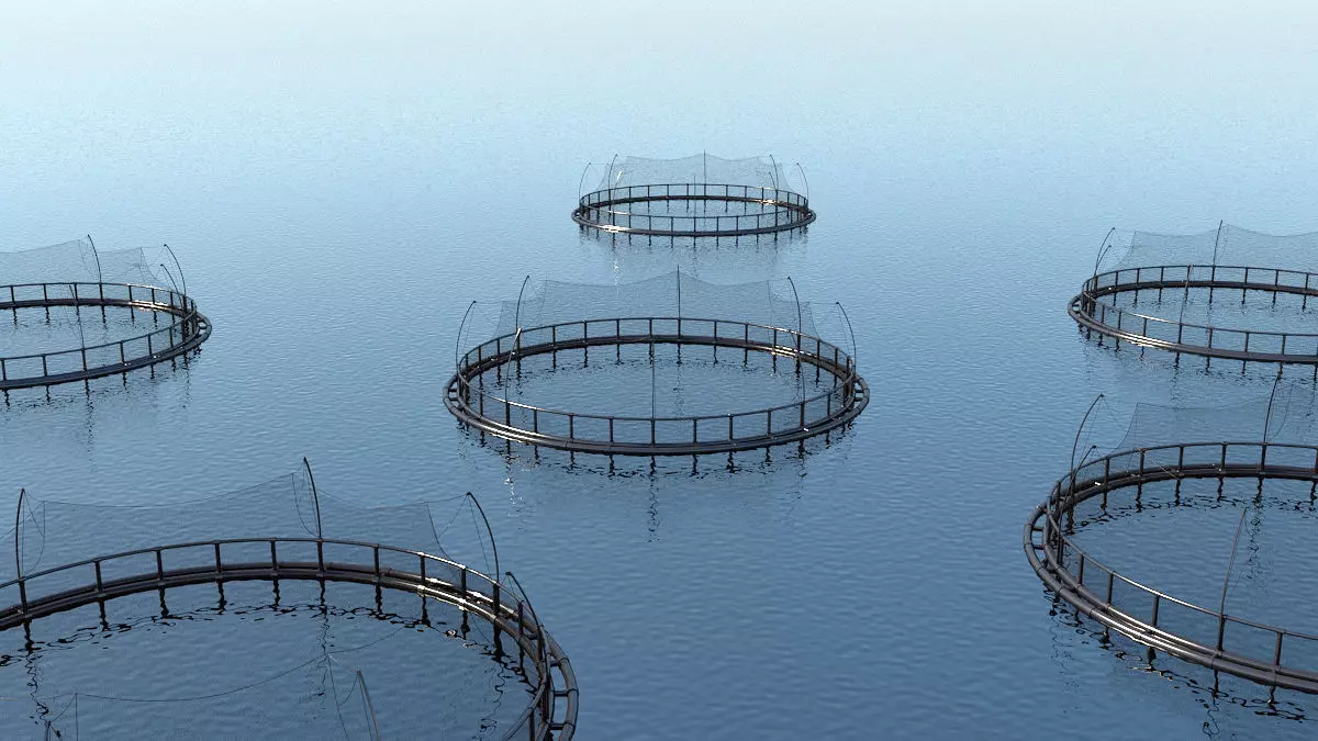 Fish farm net 3D model