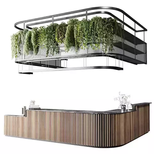 Coffee shop reception Restaurant counter by hanging plant 