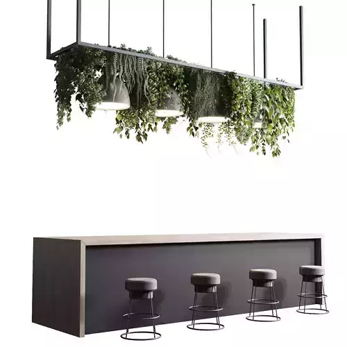 Coffee shop reception Restaurant counter by hanging plant 