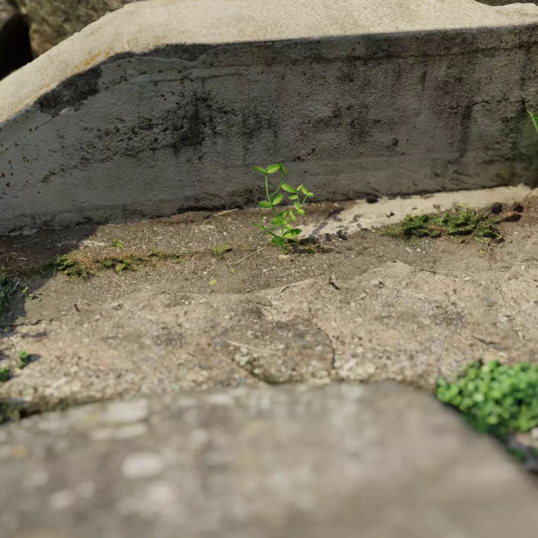 Asset pack 1 Low-poly 3D model_0