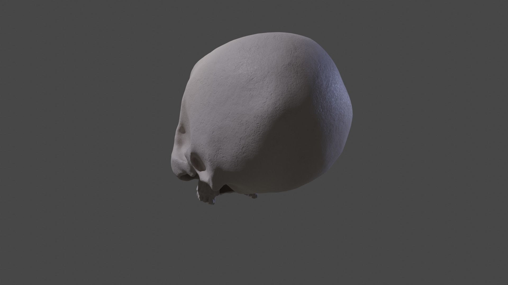 Stylized Skull 3D model_1