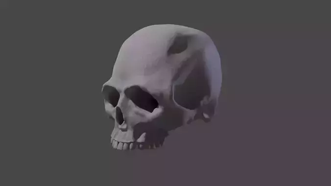 Stylized Skull