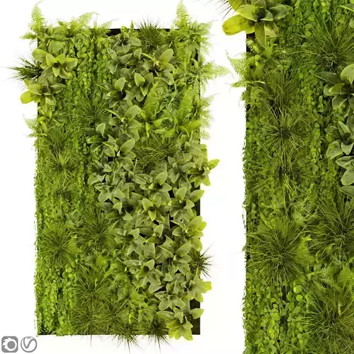 Collection plant vol 392 - fitowall - ertical - grass - fern 3D model