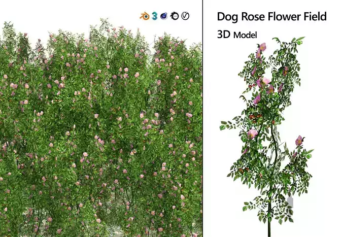 Dog Rose Flower Meadow Low-poly 3D model