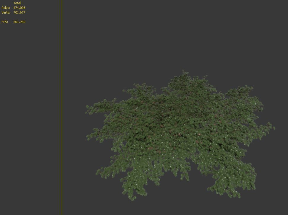 Hedera helix 3D model_7