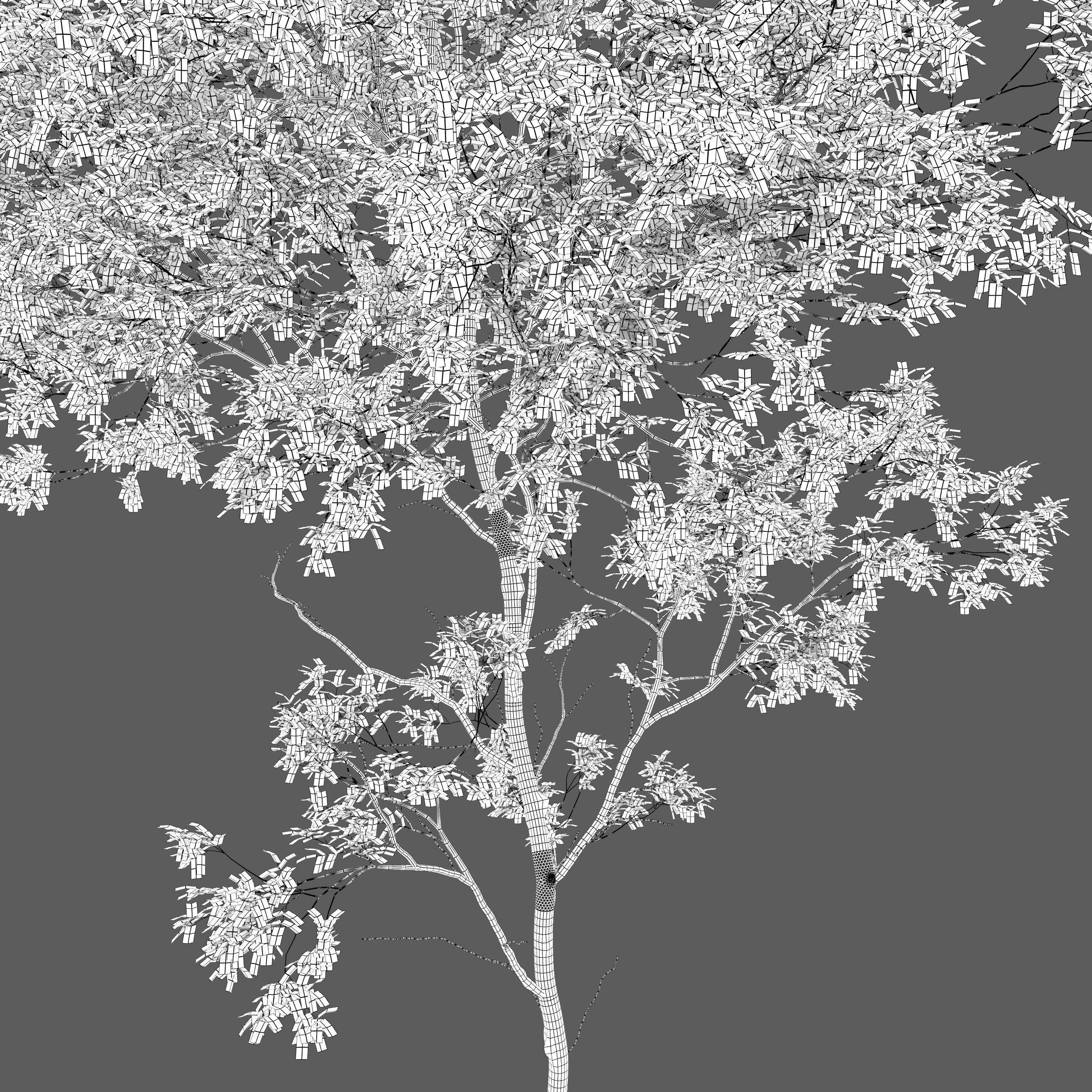 Forest trees set 04 3D model | CGTrader