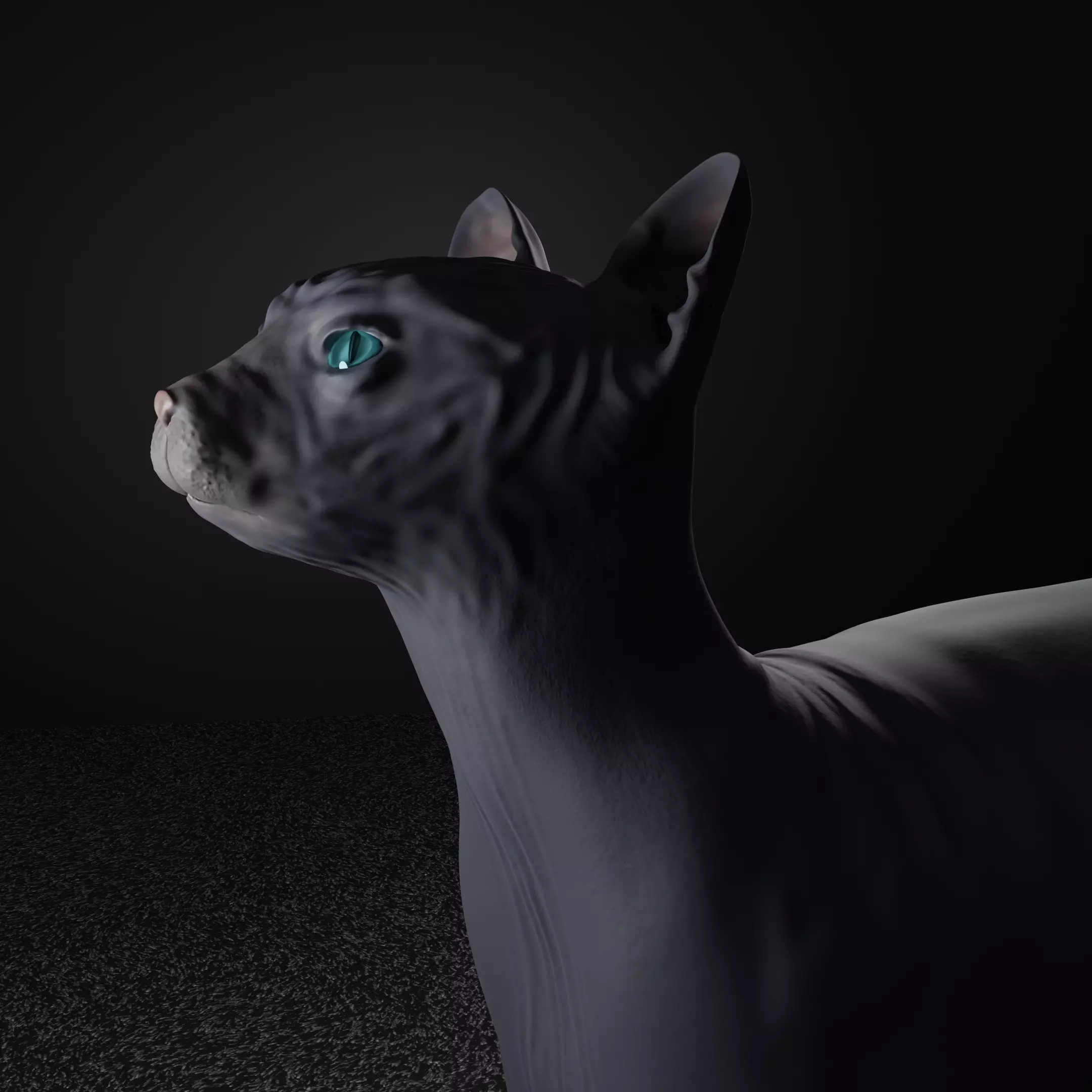Egyptian Sphynx Cat  LowPoly GameReady Low-poly 3D model_0