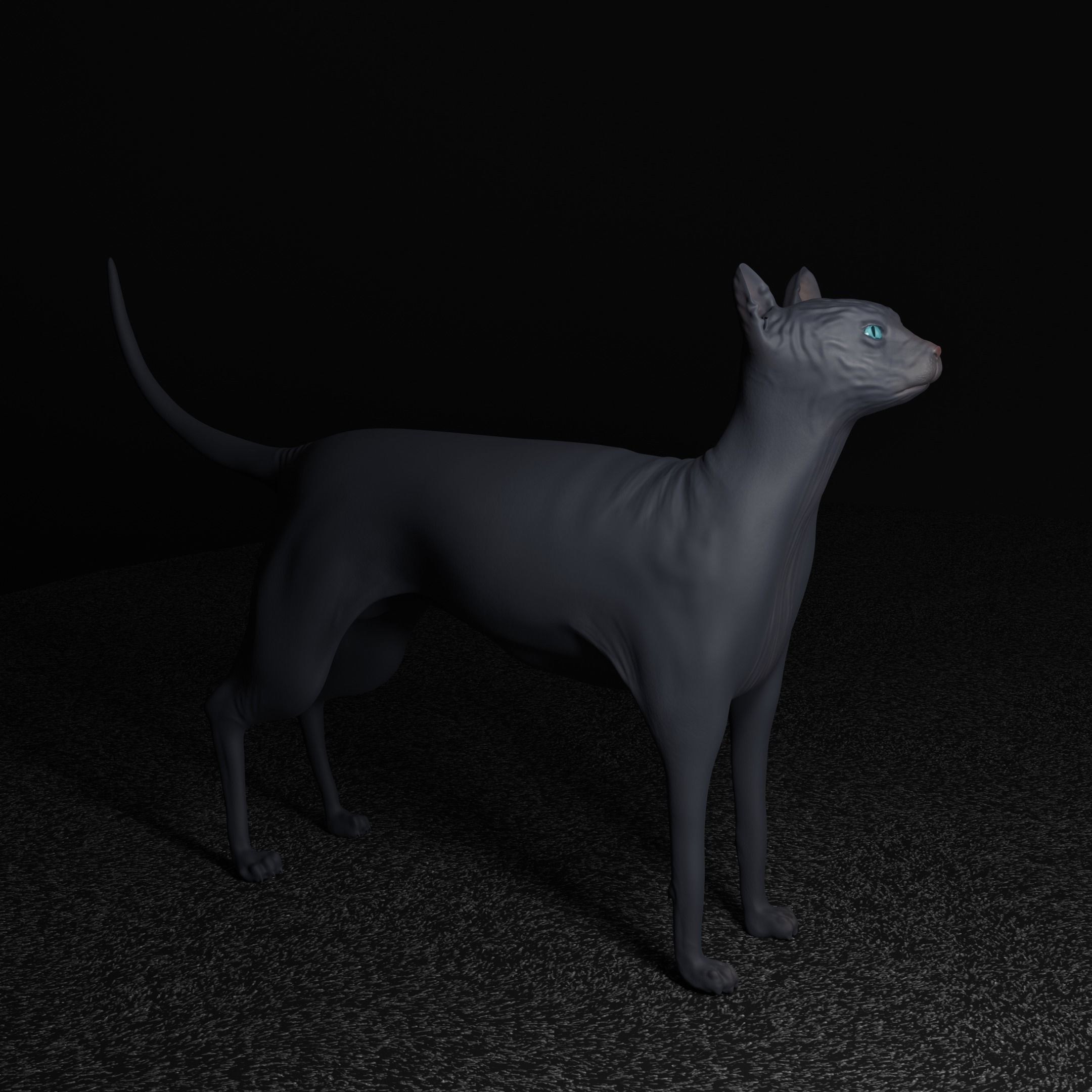 Egyptian Sphynx Cat  LowPoly GameReady Low-poly 3D model_8