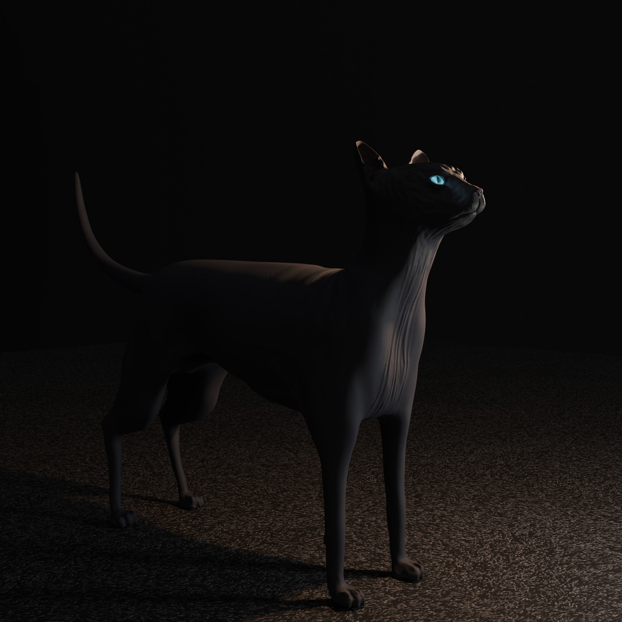 Egyptian Sphynx Cat  LowPoly GameReady Low-poly 3D model_2