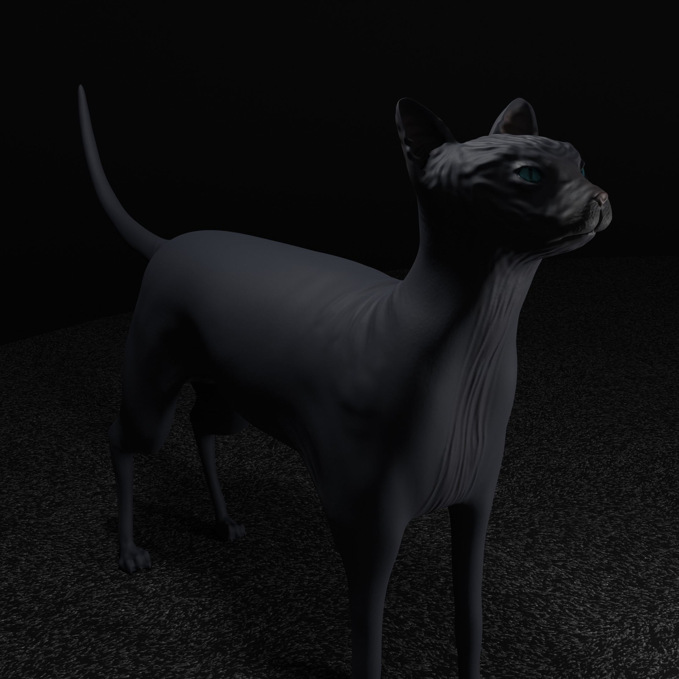 Egyptian Sphynx Cat  LowPoly GameReady Low-poly 3D model_4