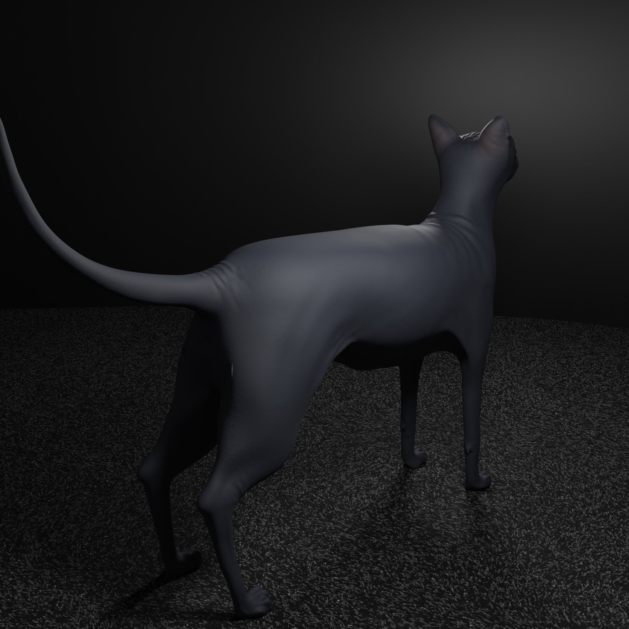 Egyptian Sphynx Cat  LowPoly GameReady Low-poly 3D model_9