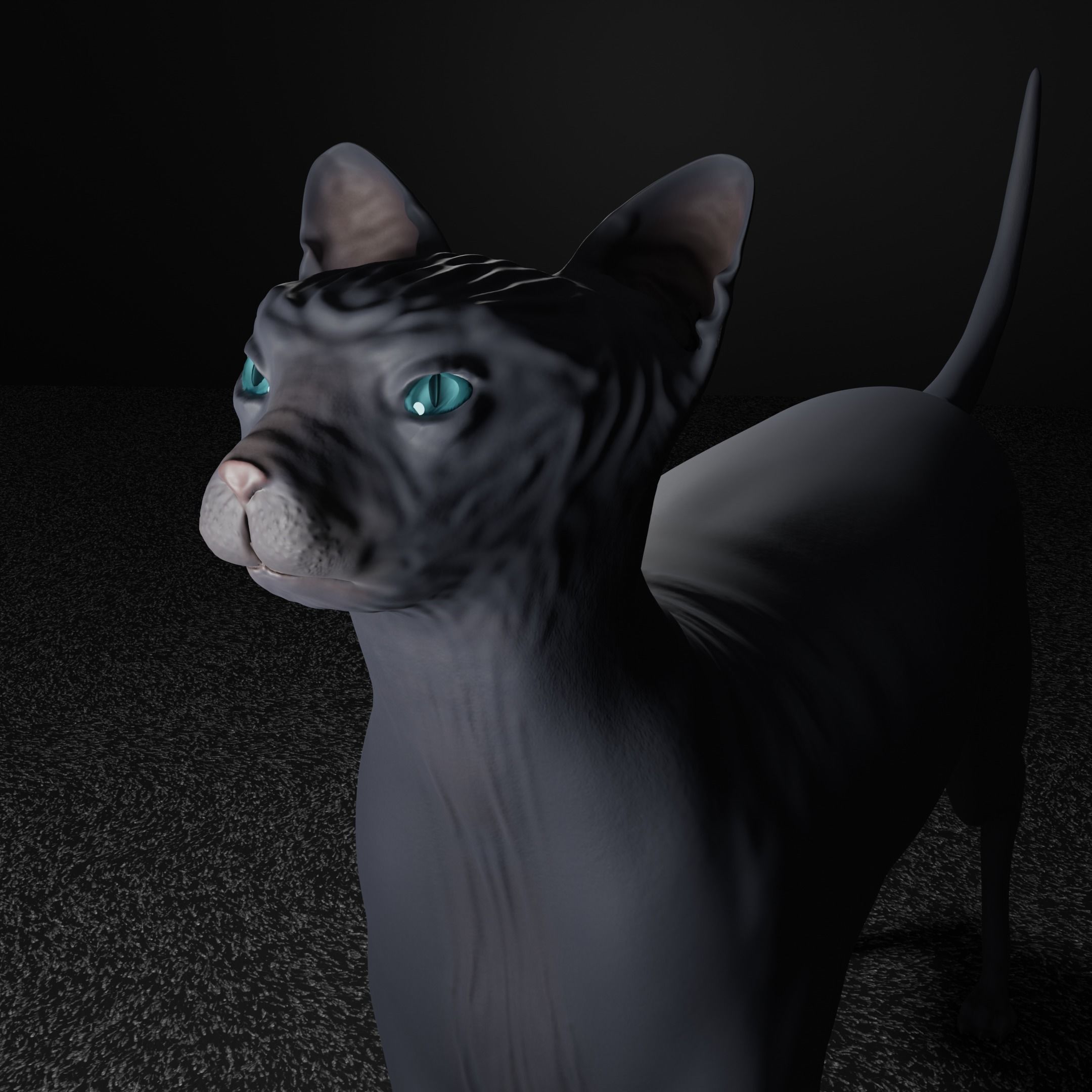Egyptian Sphynx Cat  LowPoly GameReady Low-poly 3D model_10