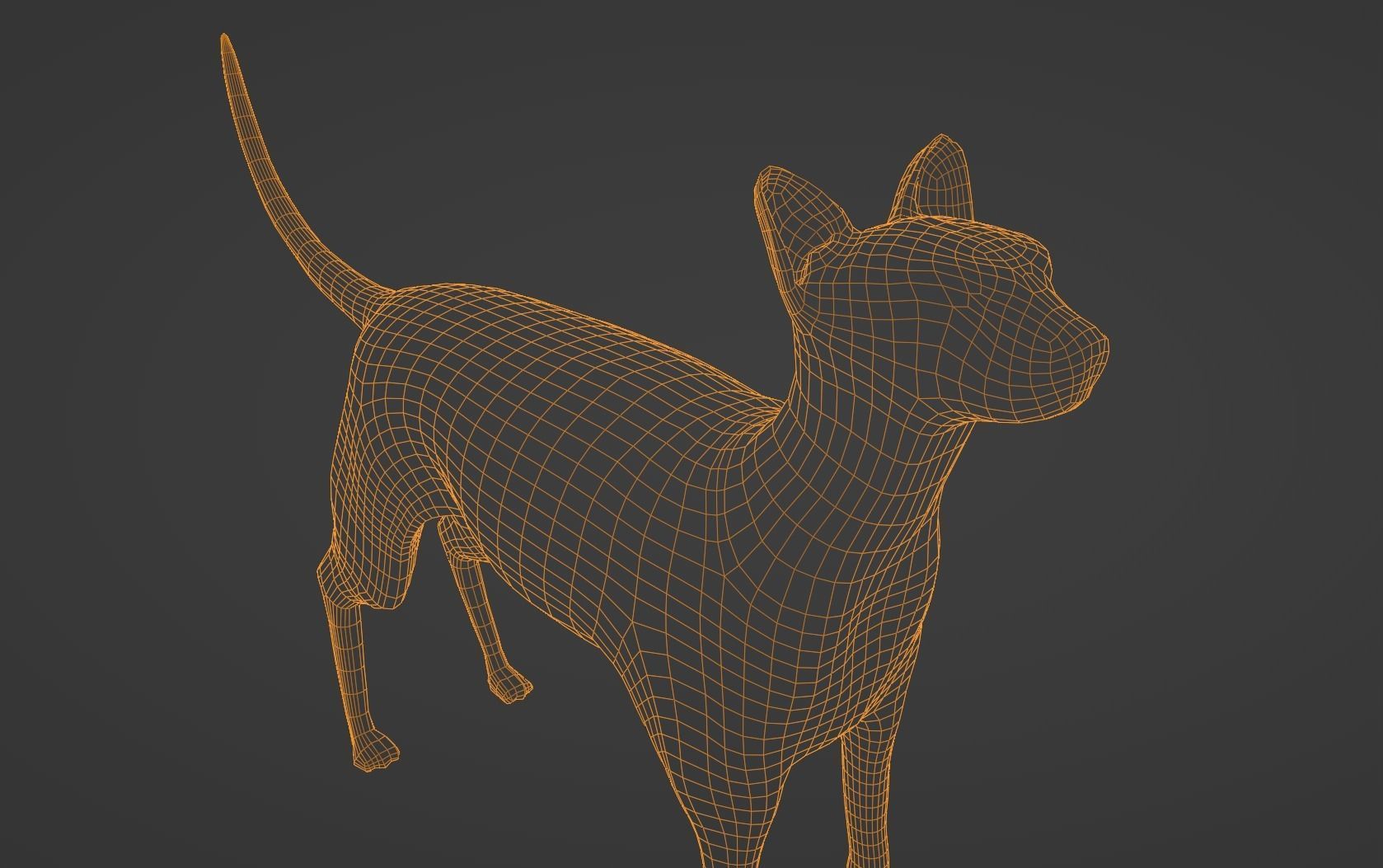 Egyptian Sphynx Cat  LowPoly GameReady Low-poly 3D model_12