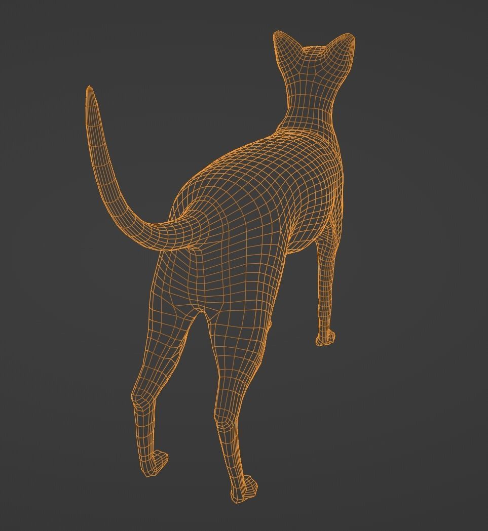 Egyptian Sphynx Cat  LowPoly GameReady Low-poly 3D model_13