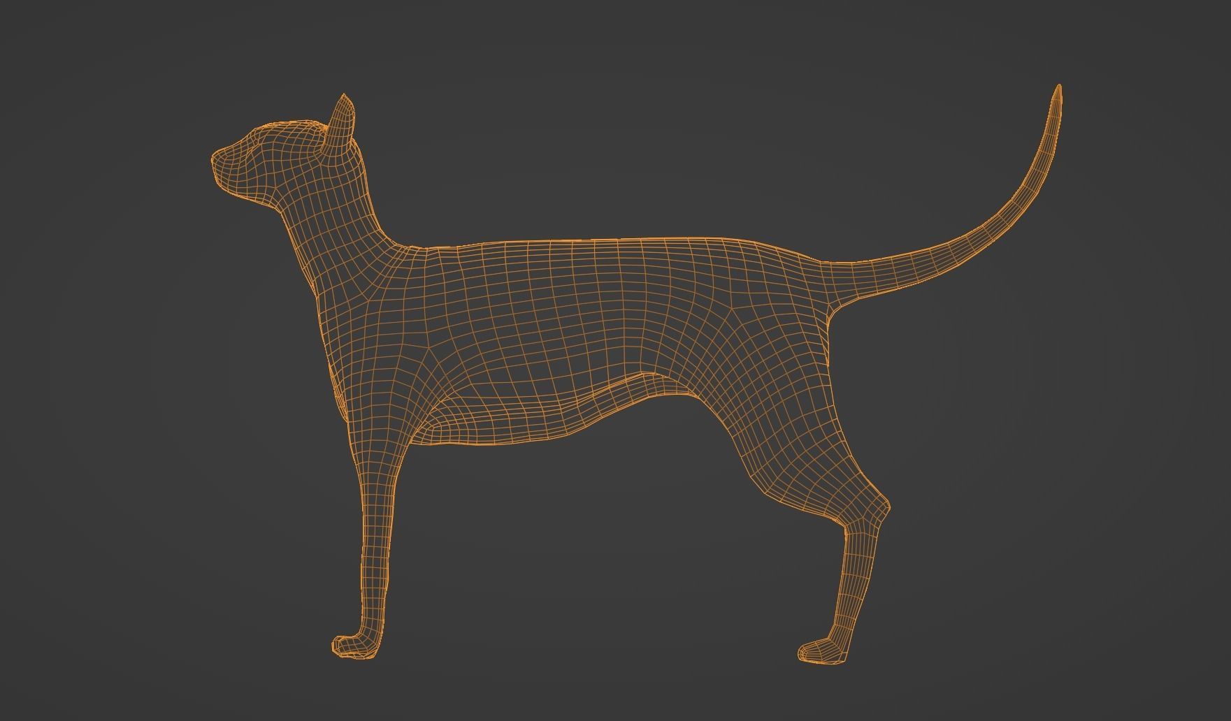 Egyptian Sphynx Cat  LowPoly GameReady Low-poly 3D model_11