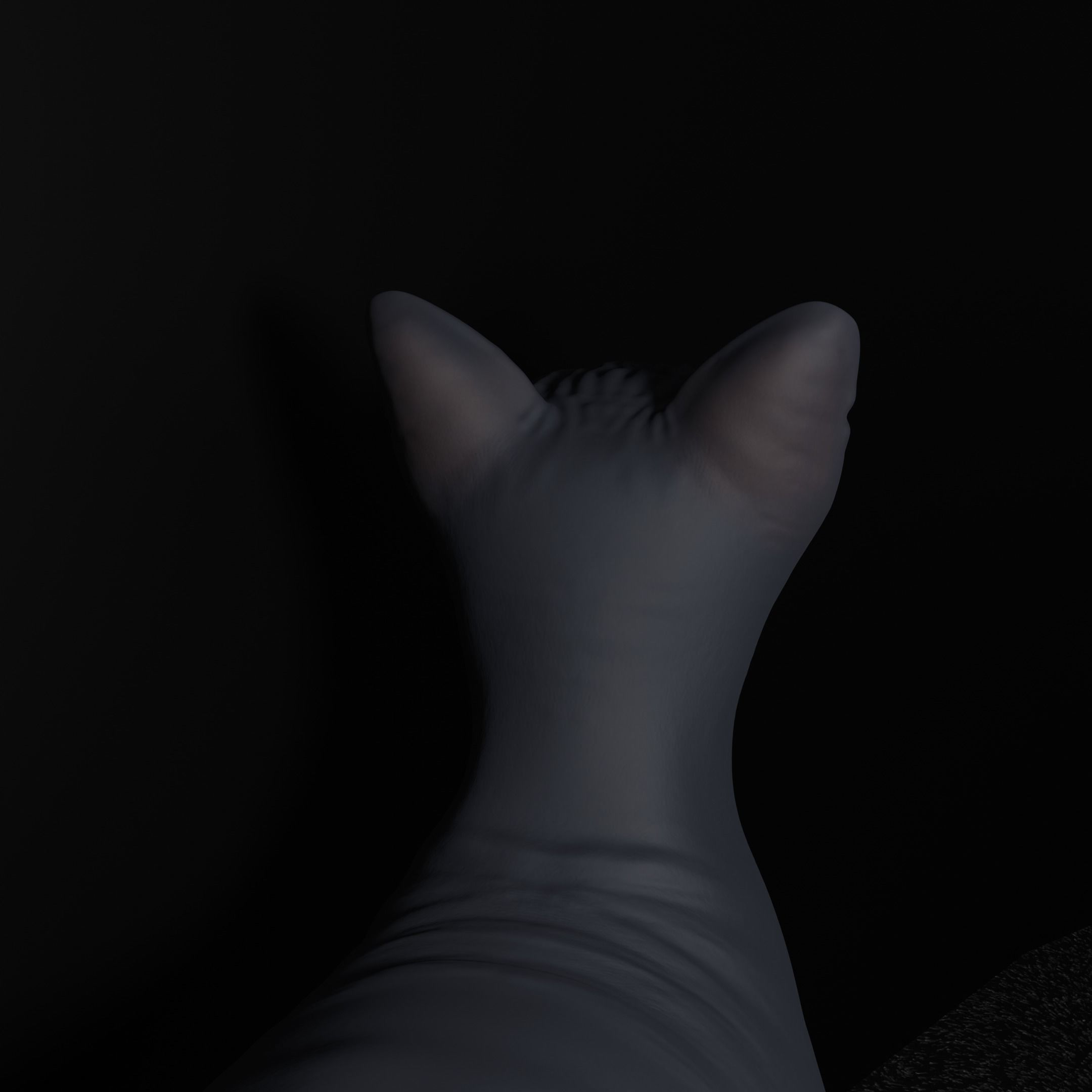Egyptian Sphynx Cat  LowPoly GameReady Low-poly 3D model_3