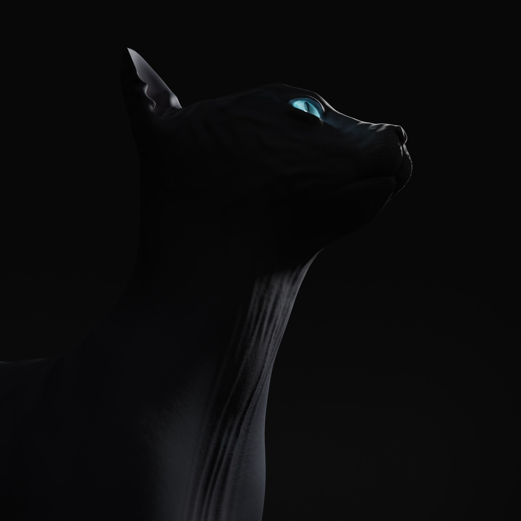 Egyptian Sphynx Cat  LowPoly GameReady Low-poly 3D model_1