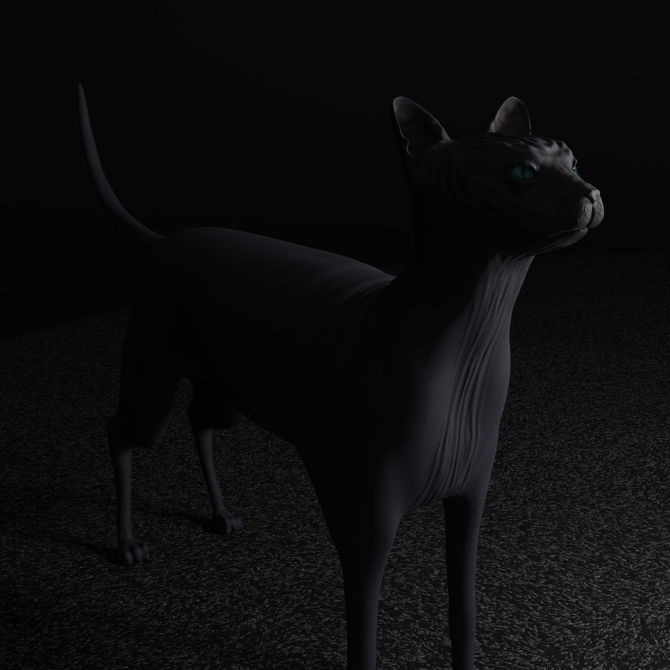 Egyptian Sphynx Cat  LowPoly GameReady Low-poly 3D model_5