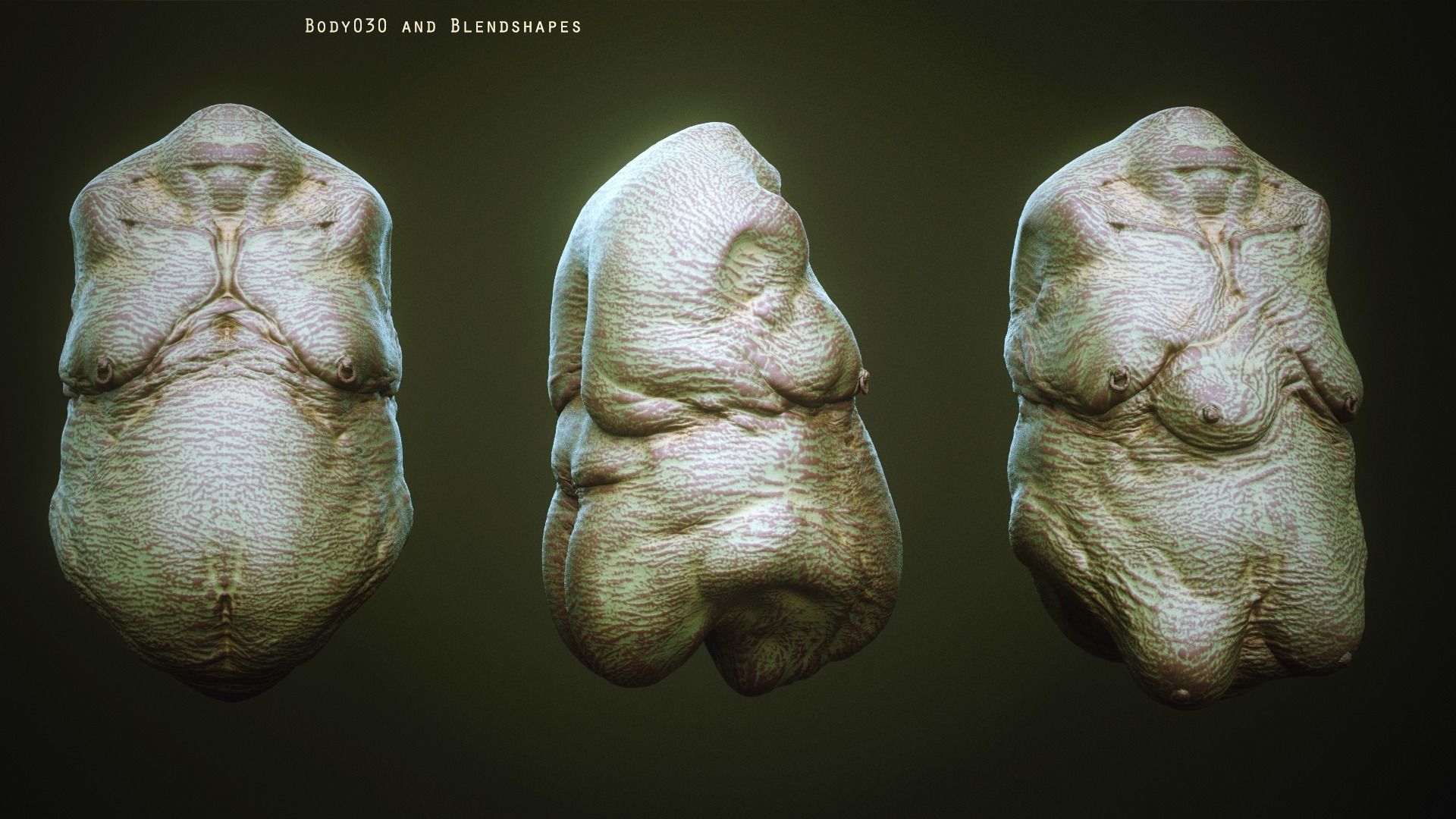 DEMON TORSOS 43 meshes with blendshapes 3D model_40