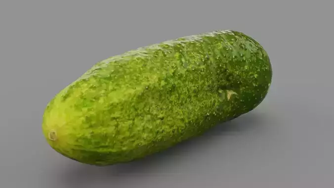 Cucumber 02