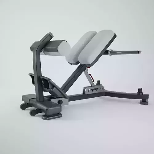 Nautilus Instinct 45A Back Extension