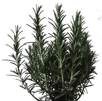 Modern House 15 3D model_46