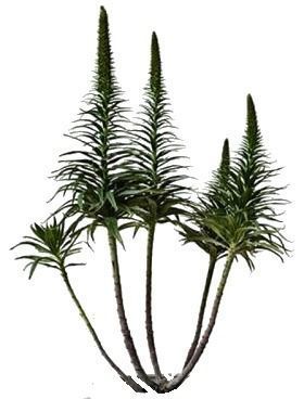 Modern House 15 3D model_30