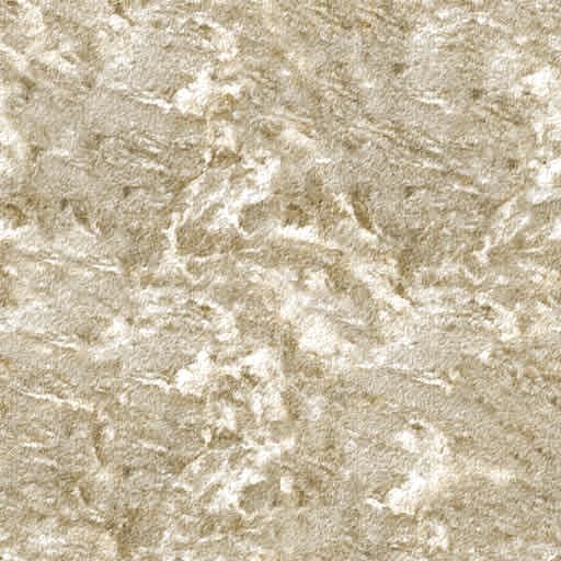 Modern House 15 3D model_33