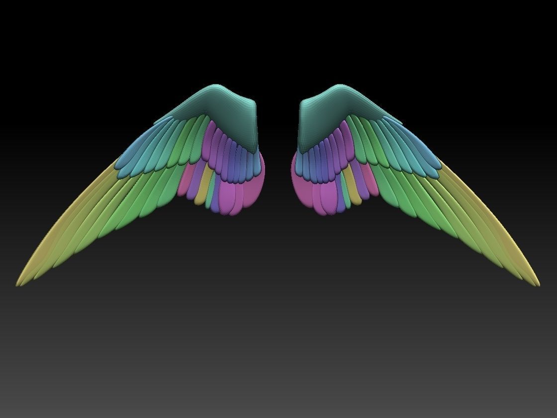 wings pair of colorful 3D print model_3