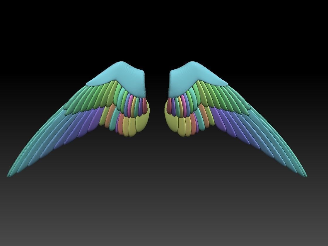 wings pair of colorful 3D print model_8