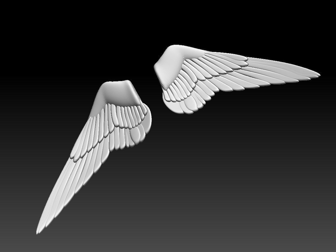 wings pair of colorful 3D print model_5